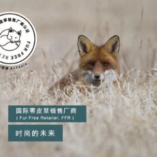 这个潮牌，推出了一款“零皮草”板鞋！